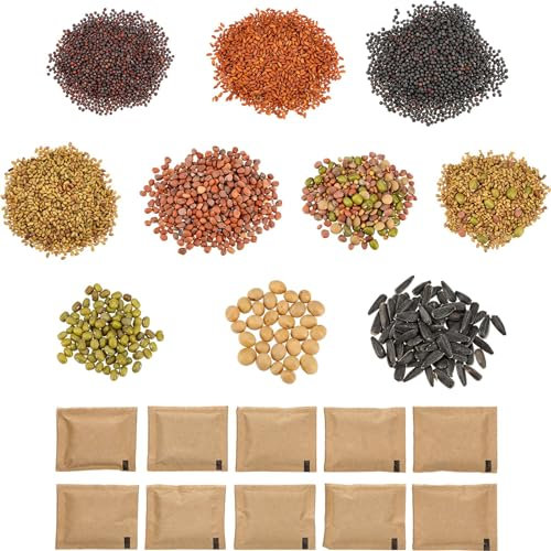 BROWIN® Starter-Set für Sprossenglas und Keimsprossenbox 745755 | Saatgut 10er Probierpaket | Rettich, Brunnenkresse, Alfalfa, Brokkoli Rabbs, Sojabohne, Mungobohne, Leinsamen, Sonnenblumensaat