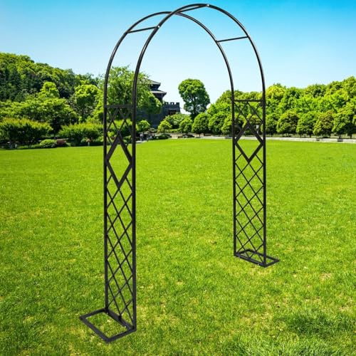 Arche de jardin en métal robuste – Arche de mariage pour cérémonies et fêtes en plein air – Treillis en acier pour plantes grimpantes, vignes et roses (220 cm, noir)