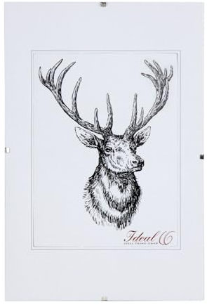 IDEAL TREND RX Rahmenlos Bilderrahmen Bildhalter Cliprahmen Fotorahmen Kunststoff Glas: Größe: 50x50