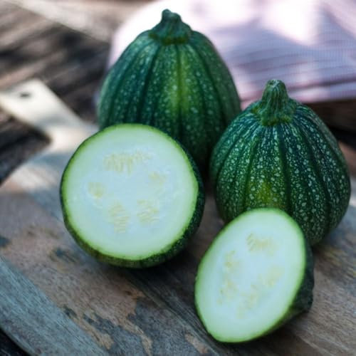 Courgette 'Boldenice' F1 Hybrid Seeds - Attractive Stripy Round Zucchini for Kids - Powdery Mildew Resistant, Easy-to-Grow Vegetable Seeds - 1 Packet (6 Seeds) by Thompson & Morgan