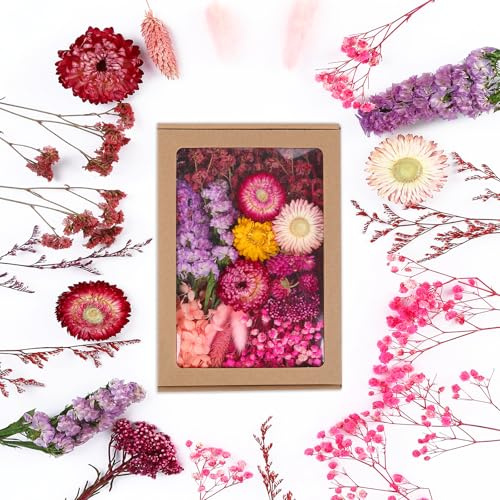JULBEAR Getrocknete Blumen, Trockenblumen zum Basteln Klein Trockenblumen Deko Rosa Trockenblumen mit Papierbox Dried Flowers für Heimwerken Harz Scrapbooking Karten Heimdekoration