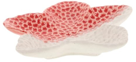 JECOMPRIS Plateau à Bijoux Étoile De Mer Coupelle à Clés Céramique Assiette Porte-bijoux Pour Décoration De Chambre De Plage Compact