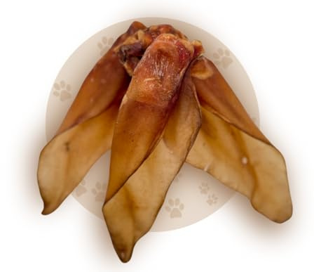 Warnick's Hundesnack Rinderohren Kingsize - 10 Stück | XXL Rinderohren mit Muschel - Fettarm, proteinreich & luftgetrocknet - Ohne Zusätze - Zahnpflege & Kauspaß für Hunde