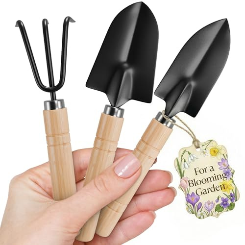 MALARNEY Lot de 3 Outils de Jardinage Mini Pelle à Manche en Bois pour Plantes succulentes Large