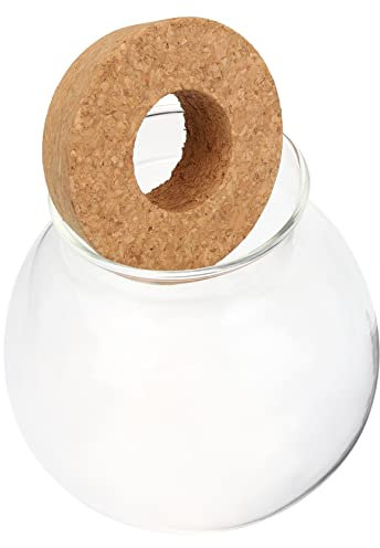 VILLFUL Bottiglia Di Vaso Tavolo Vasi Di Terrari Di Per Le Piante Bolla Di Vaso Disposizione Fiori Stazione Di Propagazione Delle Piante