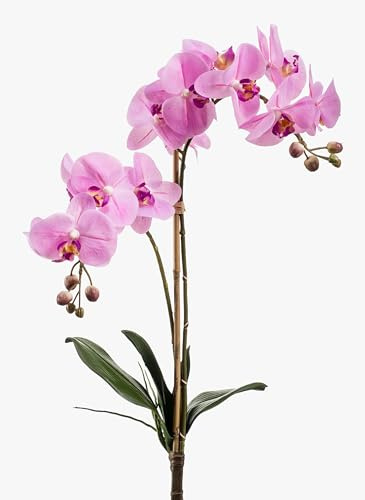 artplants.de Ramo di phalaenopsis Ornamentale Candida con Foglie, Rosa, 65cm - Orchidea Farfalla/Ramo d'orchidea Finto