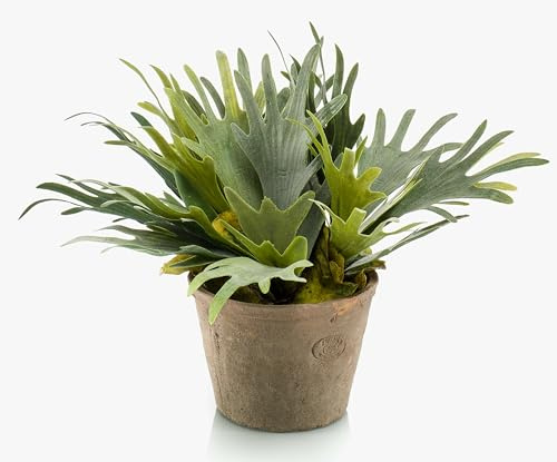 artplants.de Fake staghorn fern ALATOZ in terracotta pot, green, 35cm - Artificial fern/Faux tropical plant