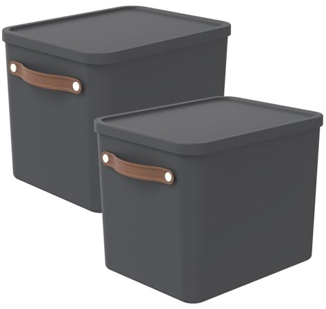 Rotho Maloja Aufbewahrungsbox mit Deckel 2er-Set 27 L stapelbar Anthrazit | Aufbewahrungsboxen, Stapelboxen, sicher verschließbar, ergonomische Griffe, 98 % recycelter Kunststoff, modular, 2er-Set