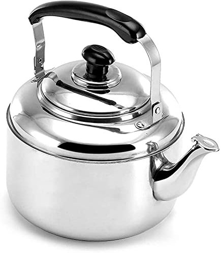 SUNMME Bouilloire sifflante à Induction Théière sifflante en Acier Inoxydable Grande capacité pour Tous Les Feux (Couleur 4l) 6l