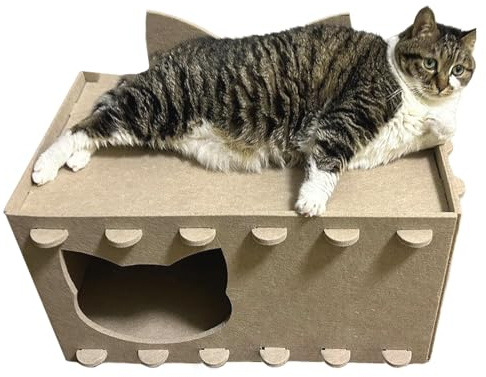 Katzenkratz Haus - Kätzchen Filz Höhlenbett | 2-in-1 Höhle Mit Kratzfläche Für Zuhause & Unterwegs