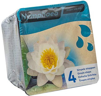 Moerings White Water Lily Pond Plant Kit - Complete Kit for Easy Pond Setup