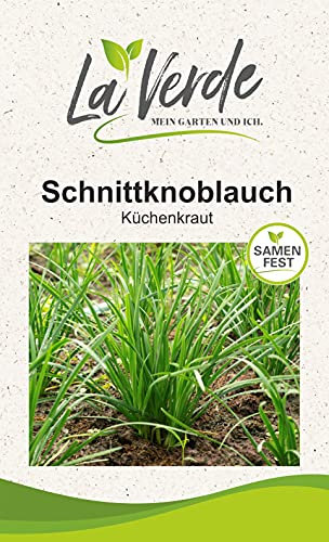 Schnittknoblauch Kräutersamen
