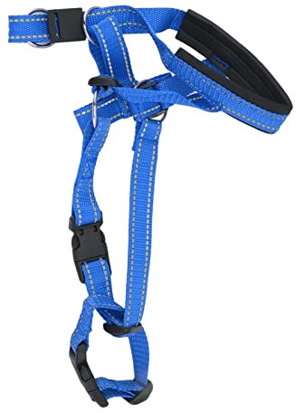 Yinhing Hundgrimma Huvudhalsband Hundgrimma D Hundmunkorgshalsband Andas Nylon Hundmunskydd för Små/medelstora Hundar Bitande Hund Utomhusbruk Orange Storlek L (L)