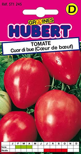 40 Graines de Tomate Cuor di bue - Coeur de boeuf