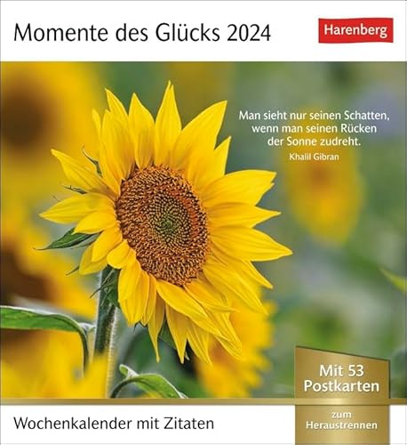 Postkartenkalender Momente des Glücks - Kalender 2024 - Harenberg-Verlag - Wochenkalender mit 53 heraustrennbaren Postkarten - 16 cm x 17,5 cm