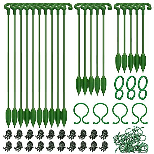 60 StüCk Pflanzen StüTzen Set - 20 Packung Blumen Pflanzen StäBe (3 GrößEn), 20 Pflanzen StüTzen und 20 Orchideen