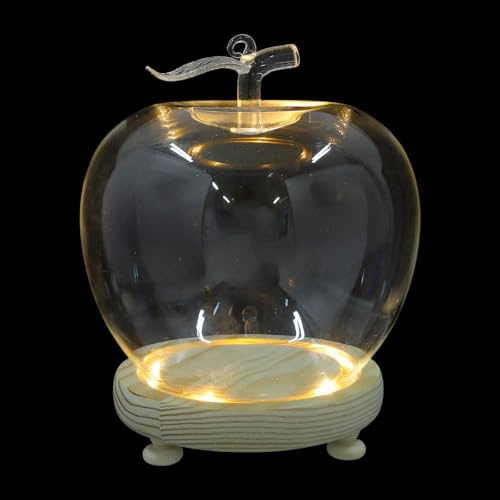 Levemolo Dôme en Verre Transparent pour Objets Décoratifs et Médailles, Socle en Bois avec Éclairage LED, Protection Anti-poussière, 16,5 x 12,5 x 12,5 cm pour Vitrine
