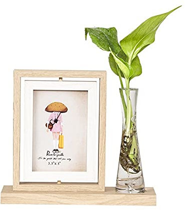 WSWJDW Fotorahmen Moderne Reagenzglas Vase Rotationsrahmen Dekorative Malerei Holz Grenze Wohnzimmer Schreibtisch Sofa Hintergrund Schlafzimmer Nachttisch, Eschenholz, 001,7 Zoll