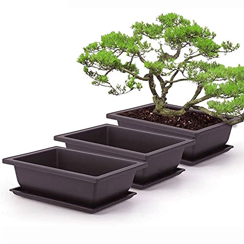 Bonsai Trainingstopf, quadratische Pflanzentöpfe 10 stücke mit Tablett Blume Sukkulente Pflanzentopfpflanzen Wachsen Töpfe für Innengarten im Freien