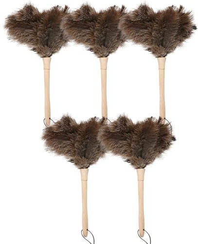 Daieeparty Plumeau en plumes d'autruche naturelles duveteuses de 40,6 cm avec poignée en bois, fournitures de nettoyage pour la maison, le bureau, la voiture (5 pièces)