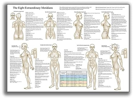Baibexing Otto Meridiani, Poster Dei Meridiani, Diagrammi Anatomici, Arte Medica, Stampe Artistiche Dei Meridiani Del Corpo Umano, Poster Decorativi 30X40Cm Senza Telaio