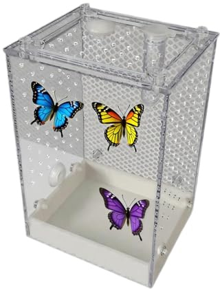 Terrarium för hoppande spindlar - transparent hölje för skalbaggar - avtagbar livsmiljö för skorpionmyror hemma eller i klassrummet