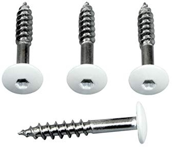 SN-TEC Fassadenschrauben Rostfrei Edelstahl V4A 5,5x35 mm, weiß Pulverbeschichtet RAL 9010 mit Torx T20 Aufnahme (Mengenauswahl möglich 10|25|50|100|500)) (50)