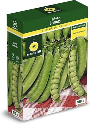 Mascarell Semillas, GUISANTE SENADOR, Semillas Leguminosas, Fácil de Cultivar en Casa, 100 G.