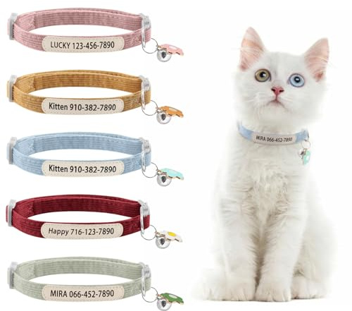 Collares de Gato Personalizados con Campana, Collar de Pana Personalizado con Nombre y número de teléfono, Bonito Collar con Accesorios de Flores para Gato o Gatito