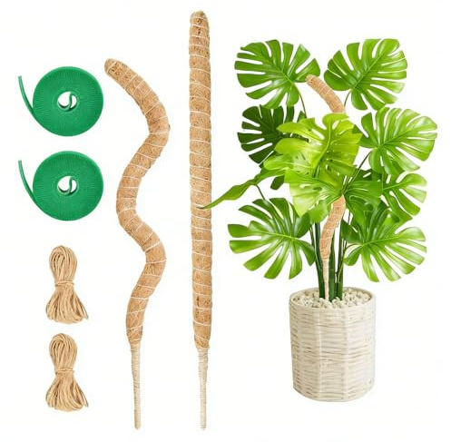 Yadiraom Bâton de mousse pour Monstera Moss - 120 cm - En fibre de coco - Avec cordon de serrage en jute - Baguette en coco faite à la main - Aide à l'escalade extensible pour plantes grimpantes en