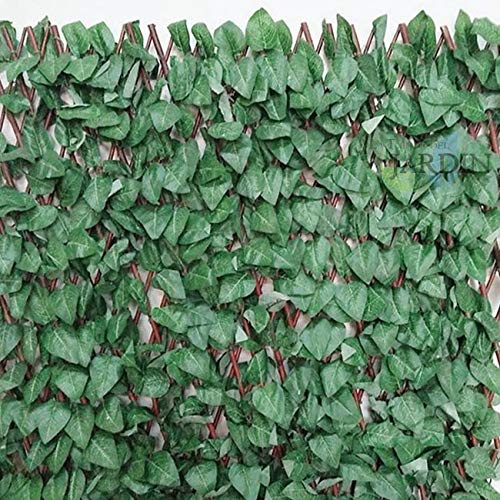 Suinga Celosia Madera 100x200 cm | Celosia de Mimbre Hojas de Arce | Celosia Interior Exterior | Celosia Extensible | Celosia Decorativa