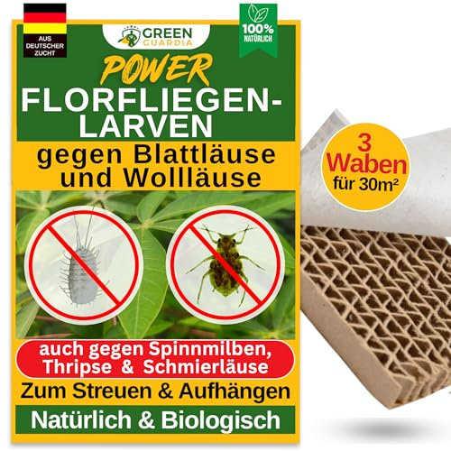 GREEN GUARDIA Power Florfliegenlarven gegen Blattläuse und Wollläuse – 3 Waben für 30m² - Biologisches Mittel zur effektiven Blattläuse/Wollläuse Bekämpfung für Zimmer- & Zierpflanzen UVM.