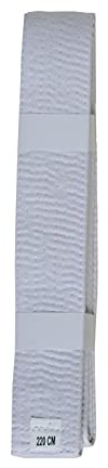 Lisaro kampfsportgürtel Karate Judo Taekwondo Ju Jutsu BJJ Gürtel Gr. 160-320 cm (Weiss, 280)