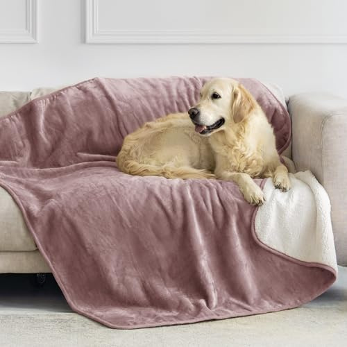Dreamzie - Vattentät hundtäcke 127x152 cm - Vändbar vattentät filt - För hundsäng och soffa i Sherpa Fleece - Tvättbar - Ljusrosa