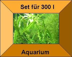Mühlan Topartikel- 15 Töpfe + 15 Bund Wasserpflanzen, Aquarienpflanze, Komplettbepflanzung für größere Aquarien