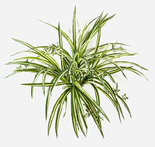 artplants.de Plante Artificielle Chlorophytum KOCHAB, sur Piquet, Vert-Jaune, 55cm - Plante Verte Artificielle