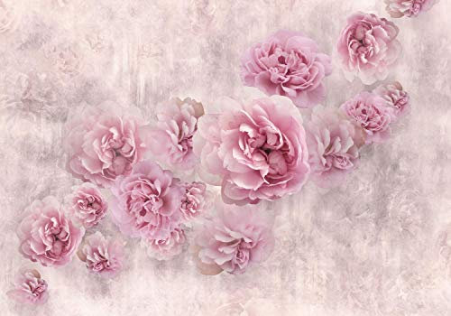 wandmotiv24 Fototapete rosa Rosen Betonwand alt, 400 x 280 cm - selbstklebende Strukturtapete, Wanddeko, Wandbild, Wandtapete, M4678