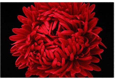 Tischset, 4 Stück rutschfeste Tischsets, waschbare Tischsets, 4er-Set,Rote Chrysanthemen Blumen Kunst modern