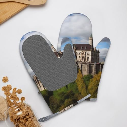 Lot de 2 gants de cuisine en silicone, résistants à la chaleur, antidérapants, doublure en coton doux, gants de cuisson Monuments historiques de l'Arménie, gants de barbecue pour la cuisine, la