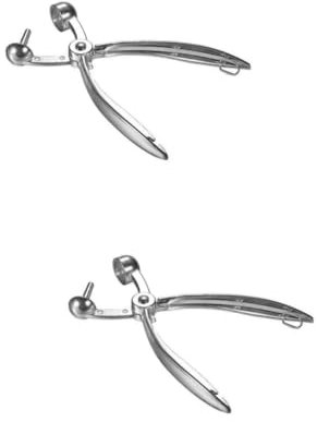 Ciieeo 2pezzi Strumento Denocciolatore Frutta Inossidabile per Ciliegie e Datteri Utensile Facile da Usare per Cucina e Ricette Festive per Amanti della