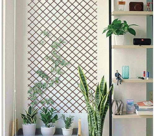 Celosía de Bambú Extensible | 1x2M | Soporte para Plantas trepadoras |