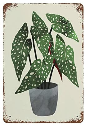 Lsjuee Metal tin sign Retro Style Novelty Poster Iron Painting Begonia Maculata Interior Plant Tin Sign, Begonia Maculata Art Print, Plant Lover Tin SignWall Decoration PlaquesSize 8x12 Inches
