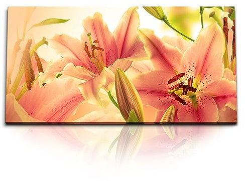 Paul Sinus Kunstdruck Bilder 120x60cm Lilien Blumen Blüten Sonnenschein Nahaufnahme