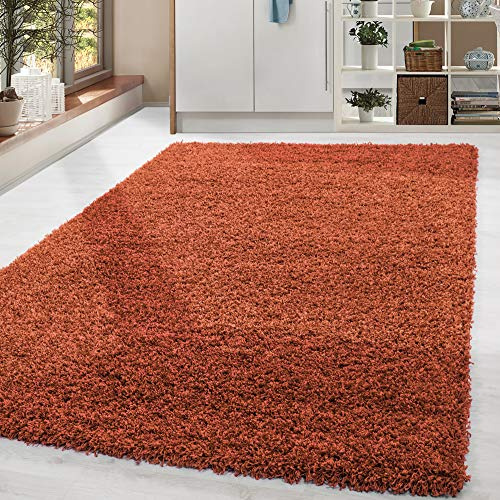 HomebyHome Shaggy Hochflor Teppich, 160x230 cm, Terrakotta, weich, flauschig, modern, einfarbig, Perfekt für Wohnzimmer, für Wohnzimmer Schlafzimmer Flur