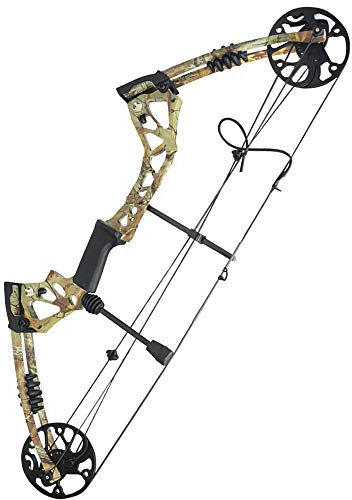 ZSHJG Compound Bogen Set Bogenset für Bogenschießen Sportbogen Verstellbarer Jagd Compoundbogenset 15-70 lbs 320fps Rechte Hand Jagdausrüstung mit Komplettes Zubehör Kit (Typ 1)