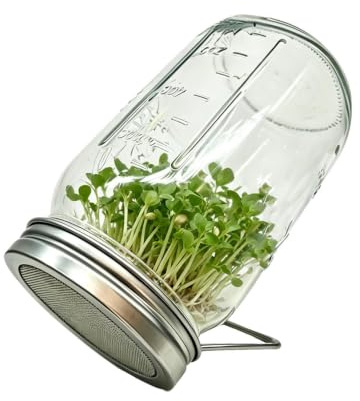 Sprouts Growing Kit - Stackable Clear Glass Jars, Kitchen Sprouter Jars