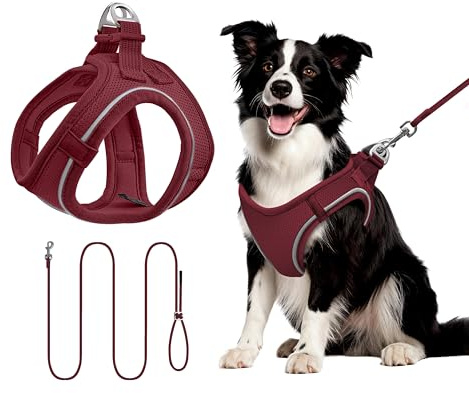 Hundegeschirr mit Leine 255cm L Set, Reflektierend (Weinrot) | Brustgeschirr Für Mittelgroße Hunde, Atmungsaktives Mesh Gewebe, Anti-Ausbruch, Spaziergang