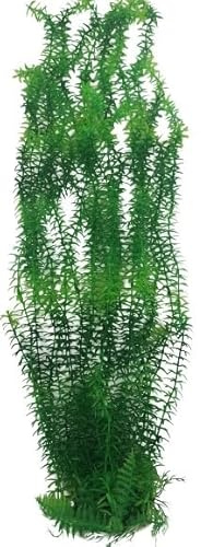 Aquariumh2o Jumbo Thin Leaf Green Aquarium, Pond Artificial Plant 30 Inch (75-80cm) Tall, Fish Tank Foliage Ornament | Extra Long Plastic Seaweed Aquascaping Decoration