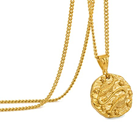 Kette Herren, Halskette mit Sternzeichen Anhänger für Herren, Edelstahl 12 Sternbild Kette, Astrologie geprägte Anhänger Halskette,Ideale Geburtstag Geschenkideen für Damen und Herren
