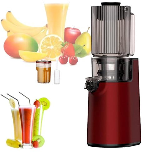 LHQYA Spremiagrumi Freddo 200 W, Spremiagrumi Professionale in Acciaio Inossidabile, Porta Alimentazione 115 Mm/Percentuale Succo Puro Migliorata al 98%/Serbatoio Alimentazione 1 L, per Arance